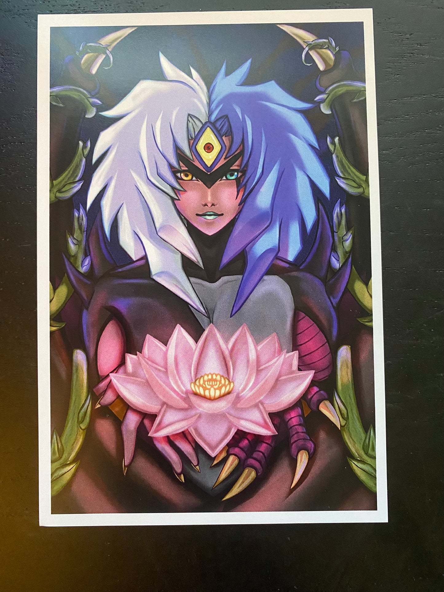 Phecda's Postcards!