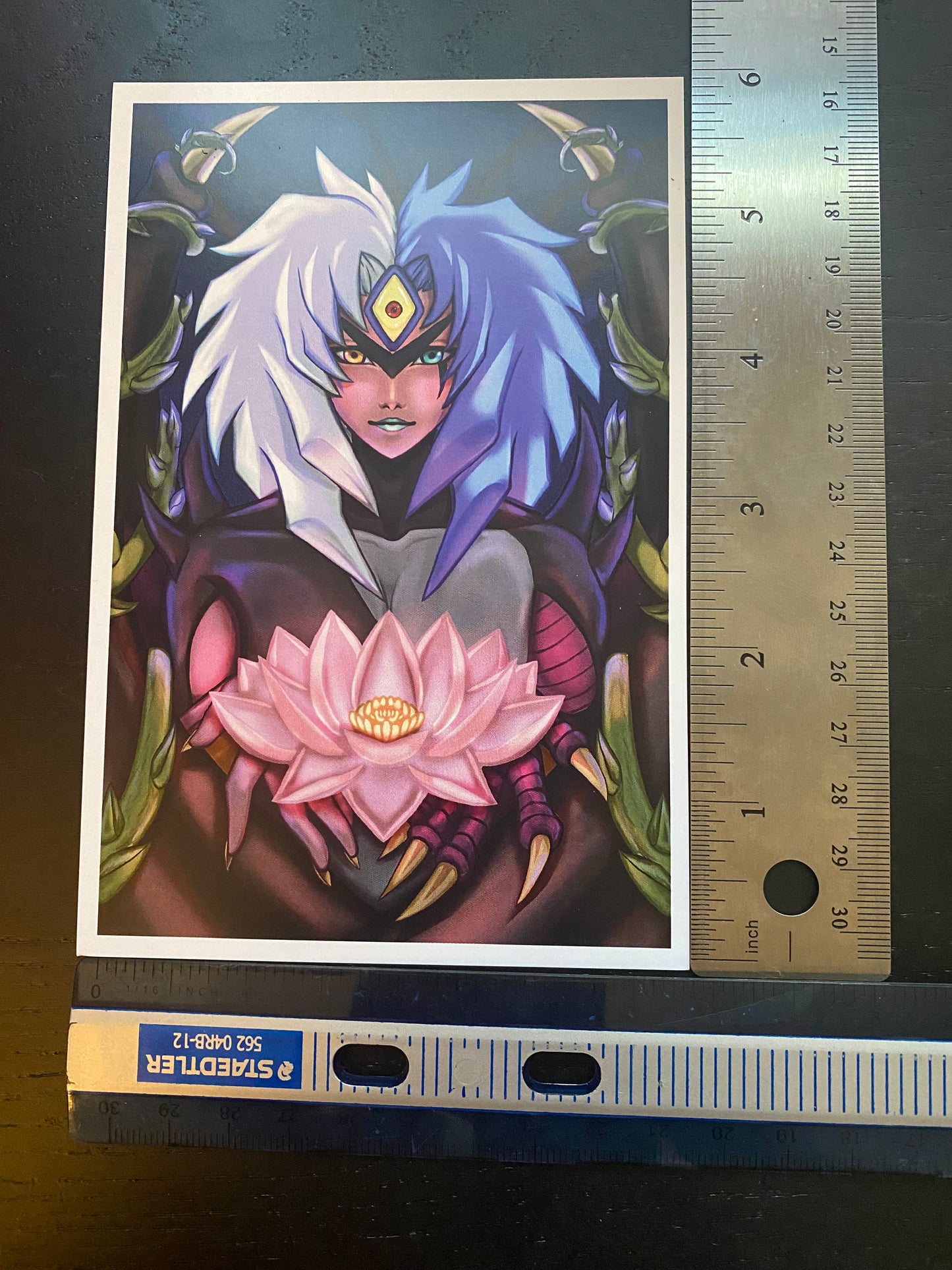 Phecda's Postcards!