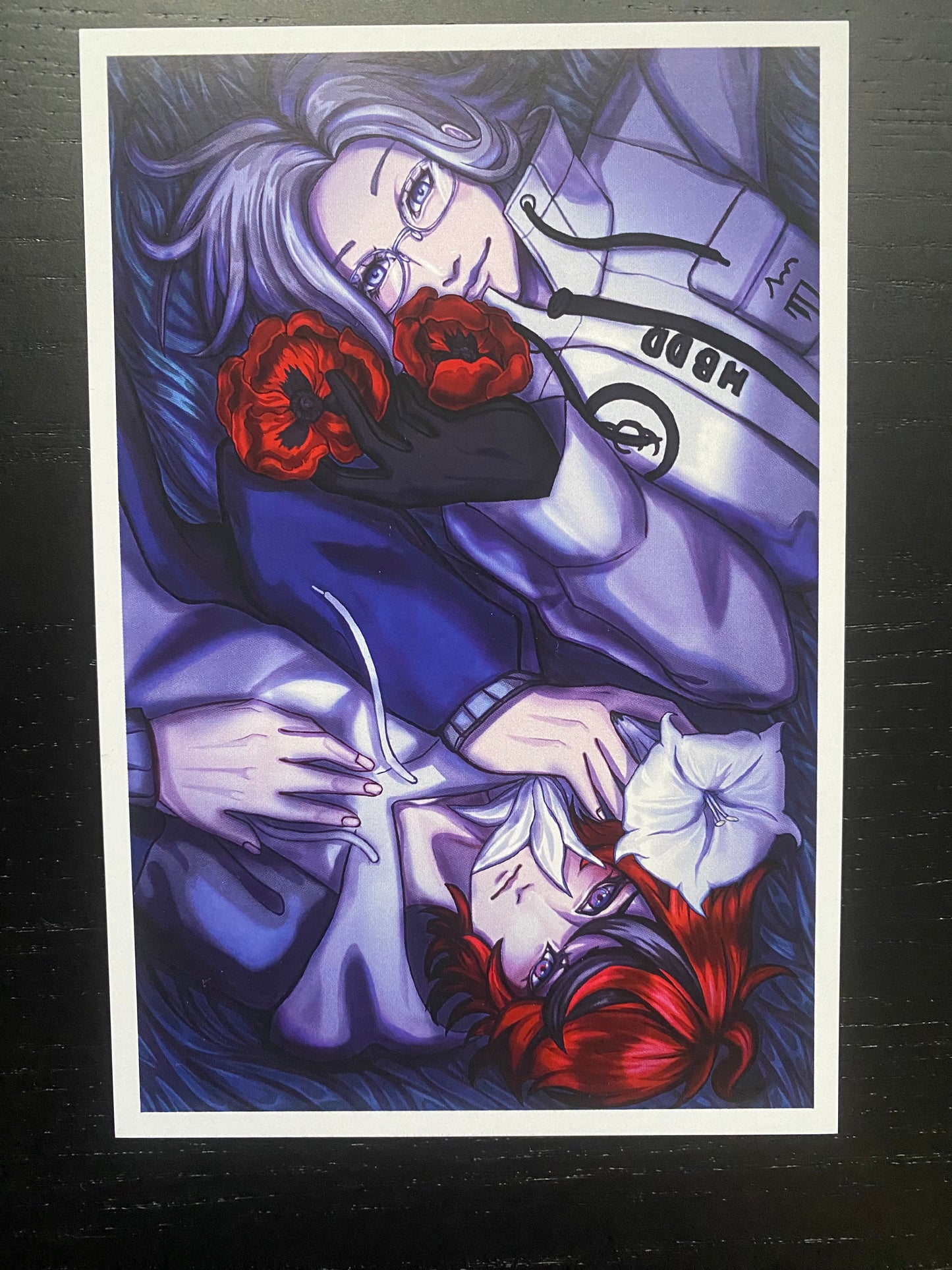 Phecda's Postcards!